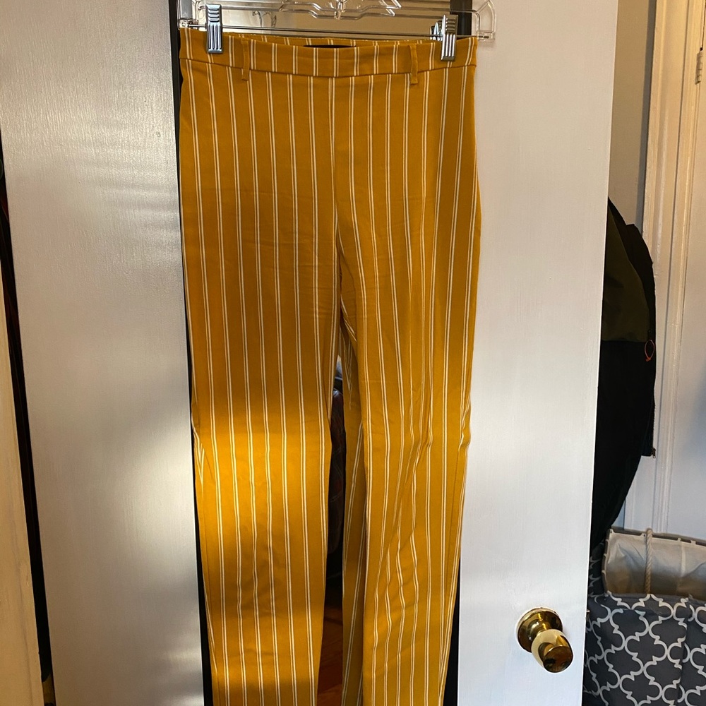Mustard yellow slacks💛
